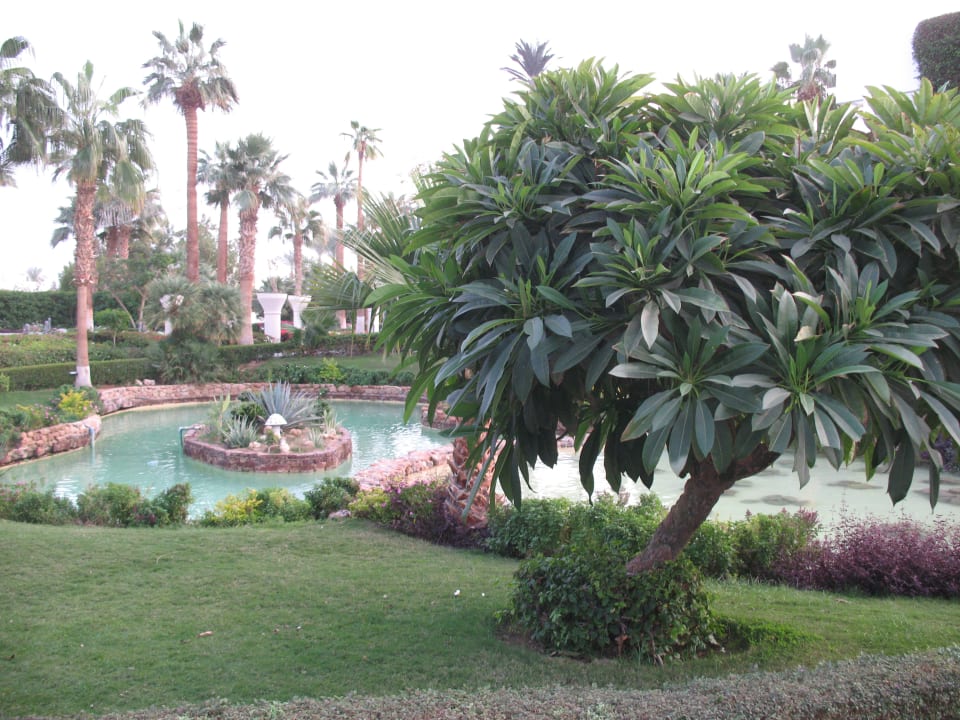 Gartenanlage Monte Carlo Sharm Resort & Spa