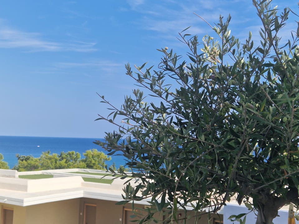 Ausblick alltoura Club Hotel Porto Angeli Beach Resort