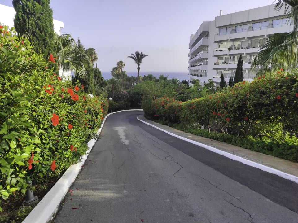 Gartenanlage Hotel Grecian Sands