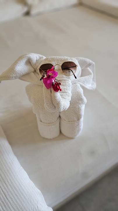 Zimmer Pickalbatros Sea World Resort - Marsa Alam