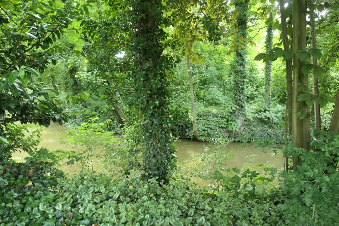 Ausblick Architektenhaus am Pewsumer Tief