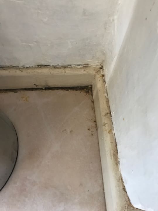 Zimmer Hotel Misty Mountain Reserve