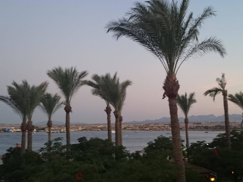 Wunderschön Grand Waterworld Makadi & Family Star Makadi