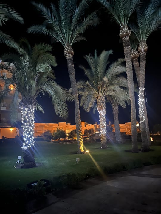 Gartenanlage Palm Royale Resort - Soma Bay