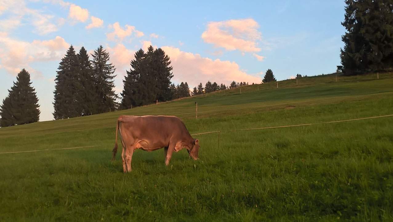 Sonstiges Bauernhof Hämmerle