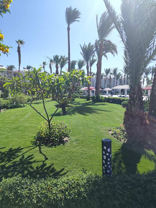 Gartenanlage Amarina Abu Soma Resort & Aquapark