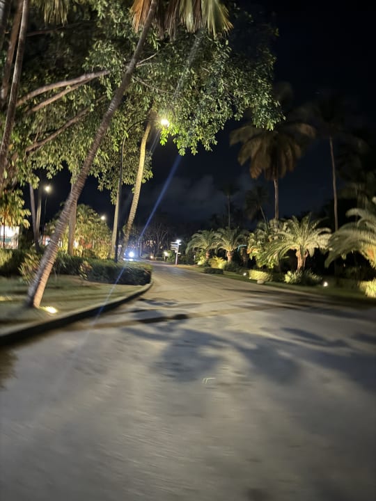 Gartenanlage Grand Palladium Punta Cana Resort & Spa