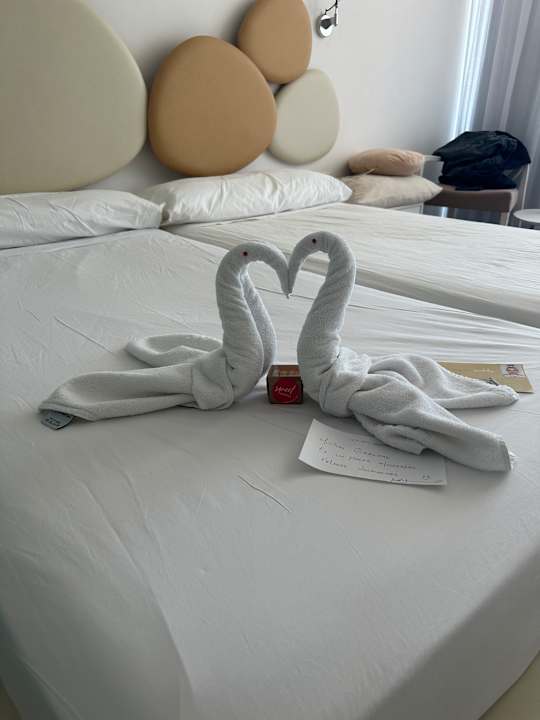 Zimmer Son Moll Sentits Hotel & Spa