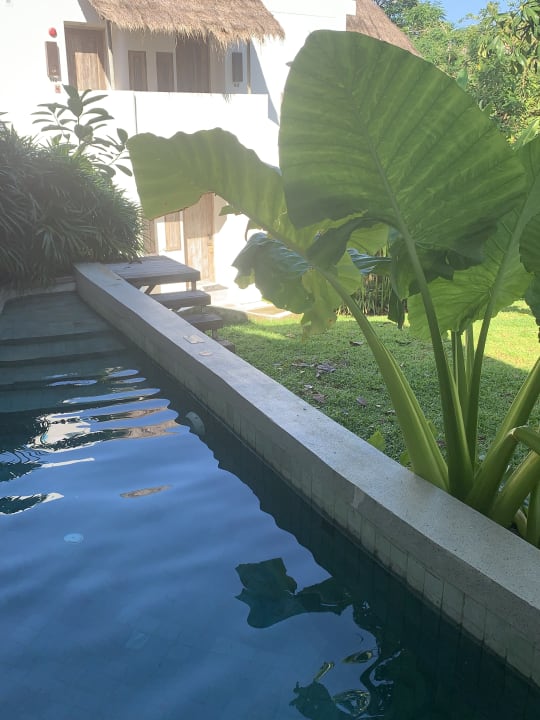 Pool Eden Beach Resort & Spa, A Lopesan Collection Hotel