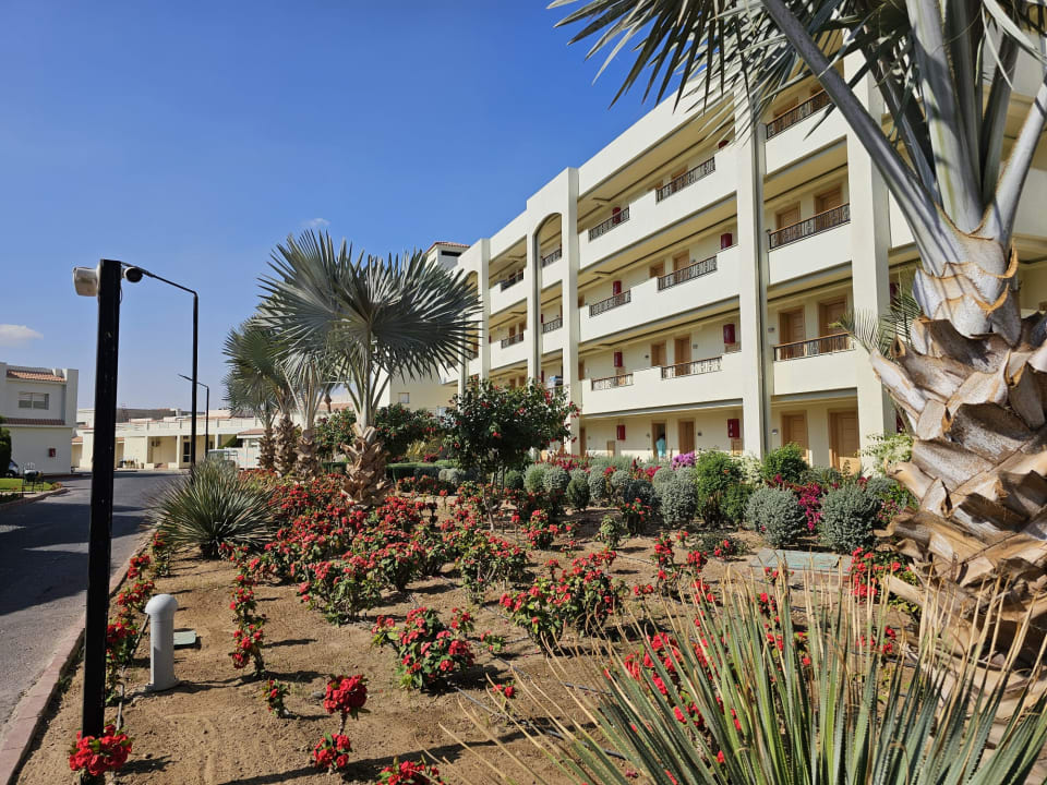 Gartenanlage Pickalbatros Dana Beach Resort - Hurghada