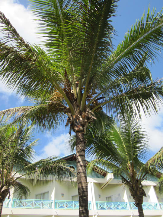 Zimmer von aussen Dreams La Romana Resort & Spa