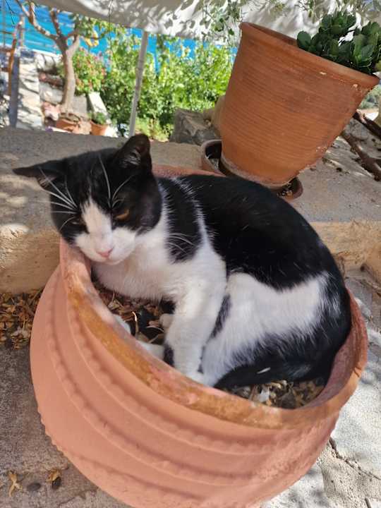 Ausblick Villa Esperus