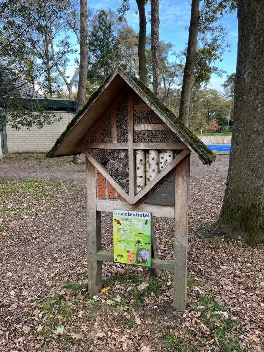 Sport & Freizeit Ferienpark Landal De Lommerbergen