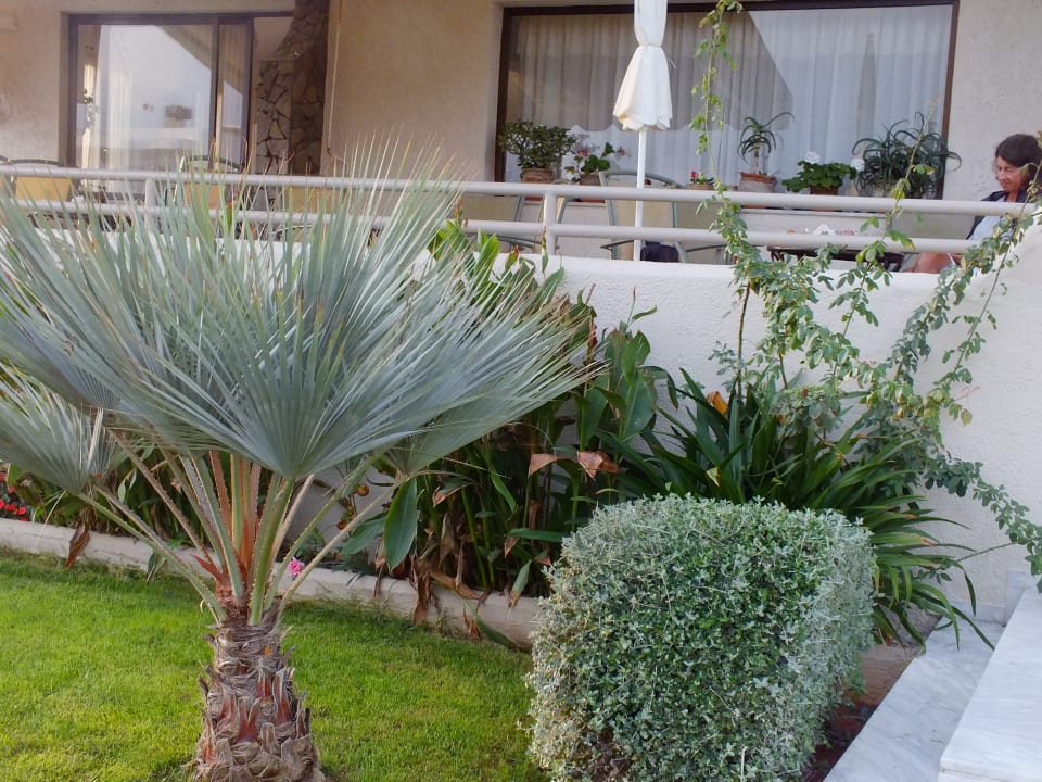 Gartenanlage Altis Hotel