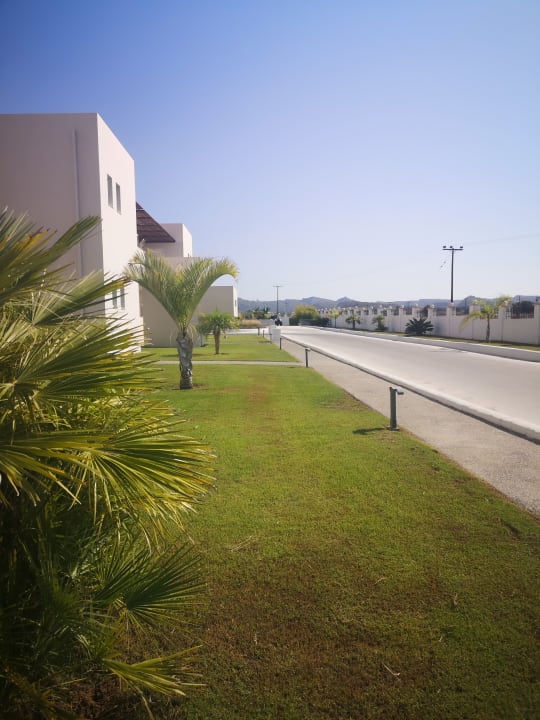 Gartenanlage Hotel Gaia Palace