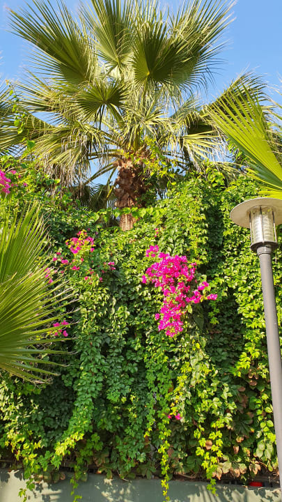 Gartenanlage Belek Beach Resort Hotel