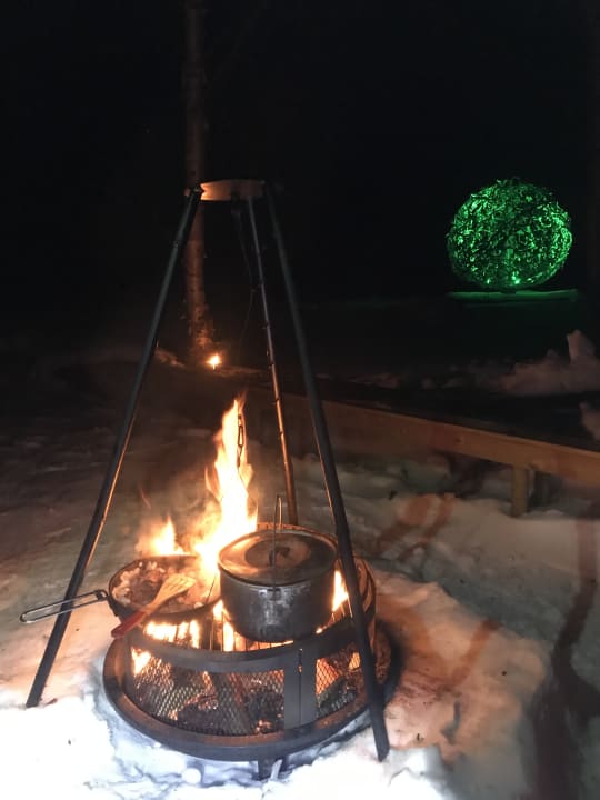 Sonstiges Wild Caribou Dome