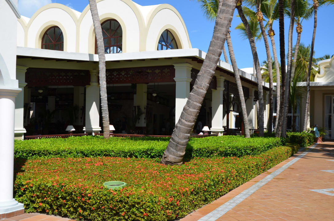 Lobby Hotel Riu Bambu