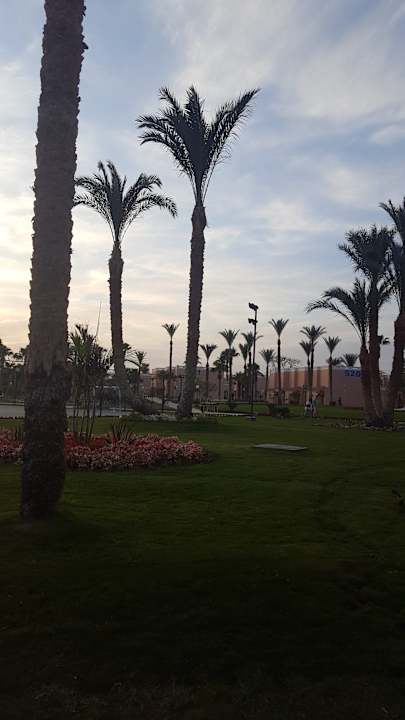 Gartenanlage Beach Albatros Resort