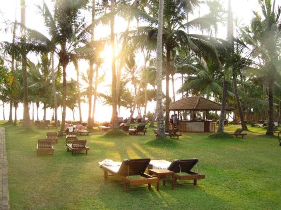 Gartenanlage mit Blick zum Strand Mermaid Hotel & Club