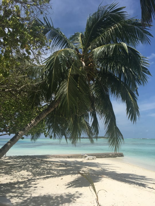 Außenansicht Adaaran Select Hudhuran Fushi - Premium All Inclusive