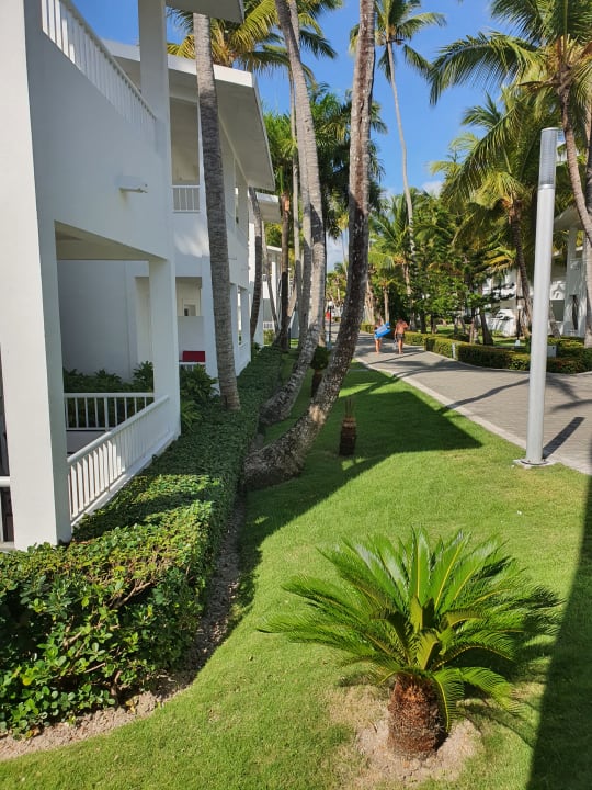 Gartenanlage Hotel Riu Bambu