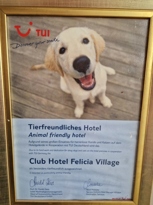 Lobby TUI KIDS CLUB Felicia Village