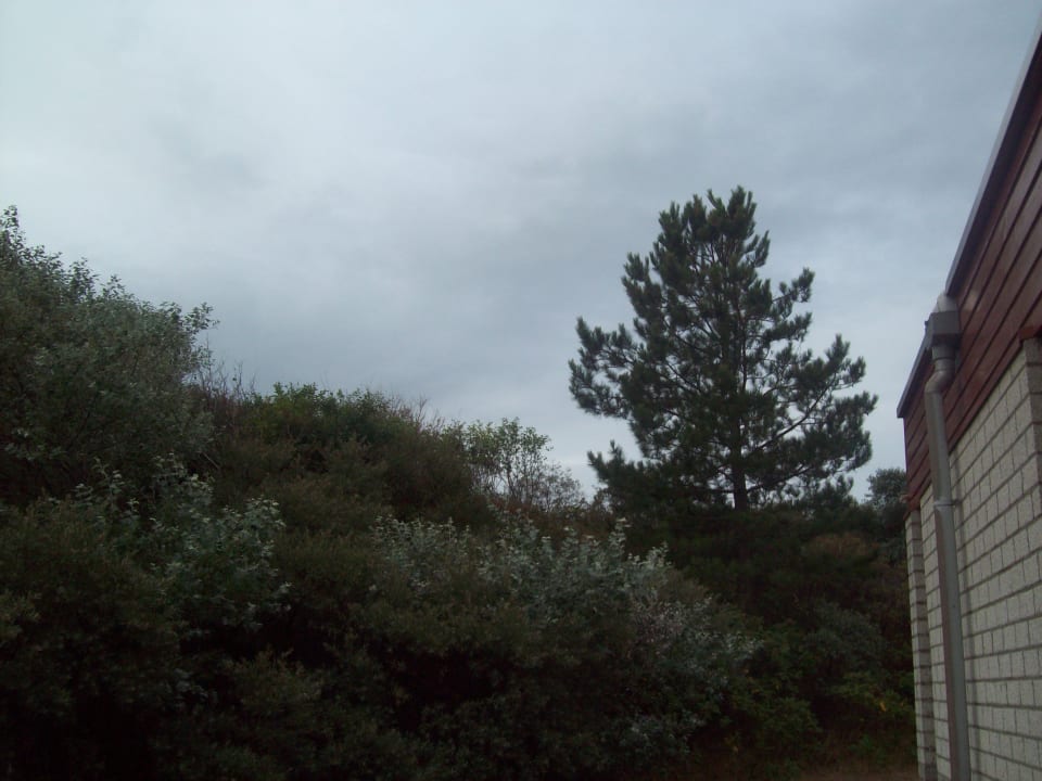 Ausblick Center Parcs Park Zandvoort - Ferienhäuser