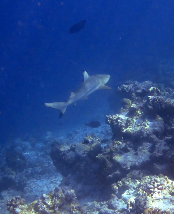 Sport & Freizeit Embudu Village