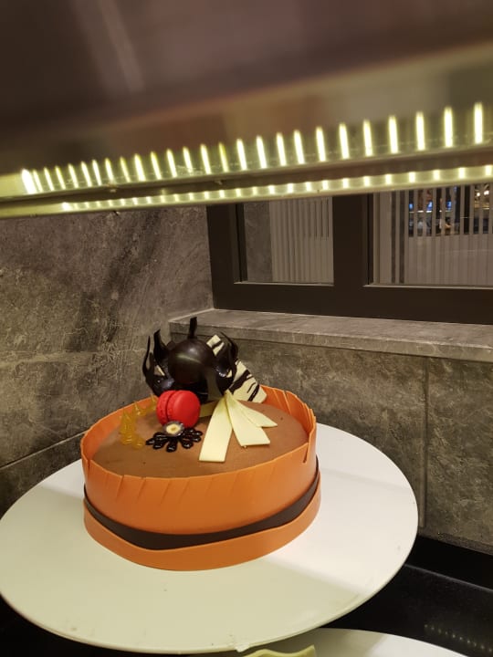 Gastro Seashell Vega