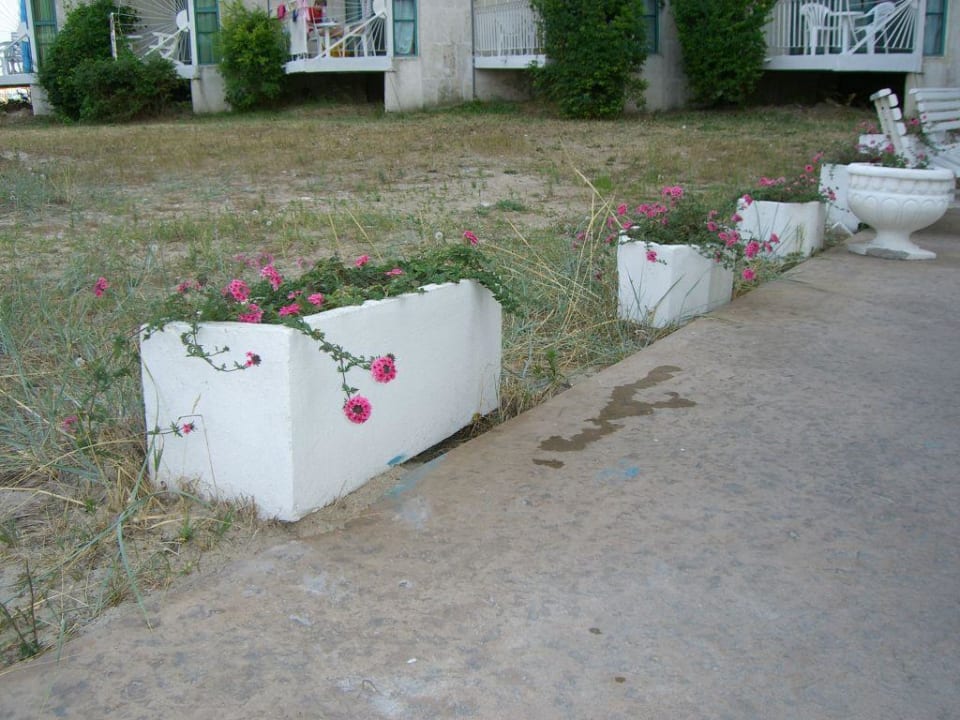 Wege-Dekoration auf bulgarisch Hotel Borjana