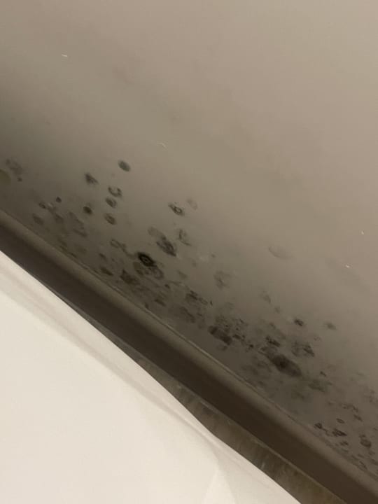 Zimmer Dream Fun World