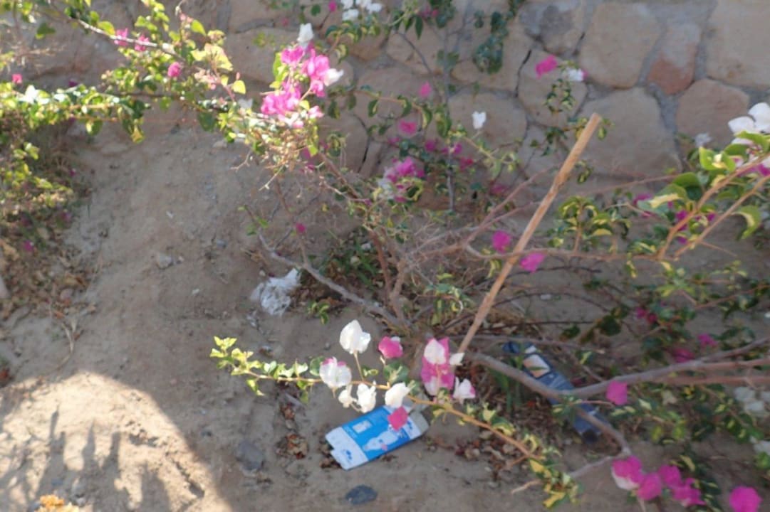 Saubere Sache Hotel Coral Garden