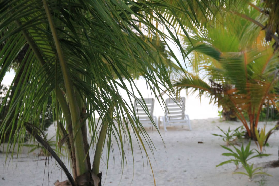 Unsere Liegen  Adaaran Select Meedhupparu Island Resort - Premium All Inclusive