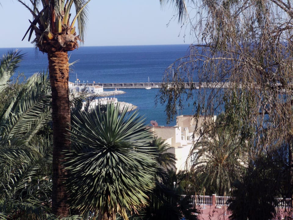 Ausblick vom Zimmer auf Hafen und Meer Hotel Best Siroco
