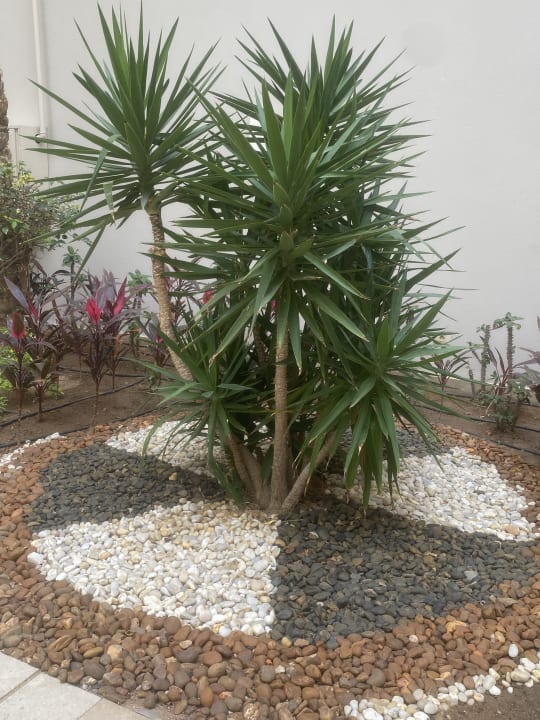 Gartenanlage Jaz Aquaviva