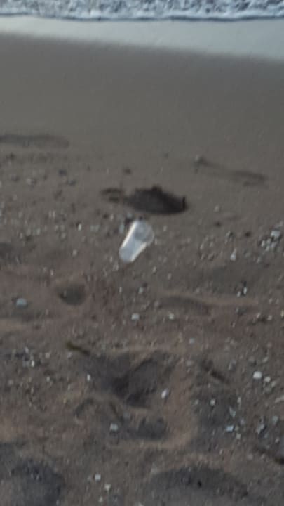 Strand Hotel Calypso Beach