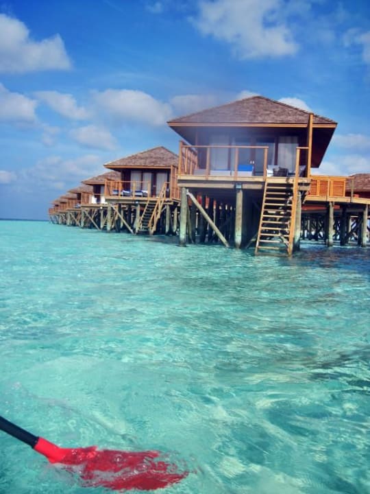 Wasservillen Vilamendhoo Island Resort & Spa