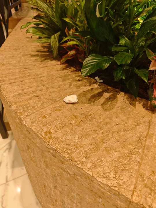 Lobby Grand Hyatt Dubai