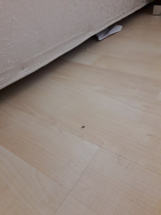 Zimmer Hotel Orfeus Park