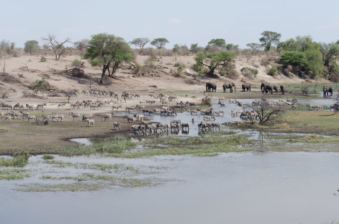 Ausblick auf den Boteti Leroo La Tau Lodge