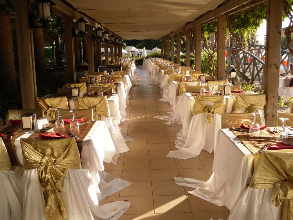 Galaabend Trendy Palm Beach (Adults Only, 16+)