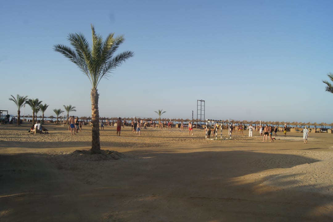 Boisko do siatki  Titanic Beach Spa & Aqua Park