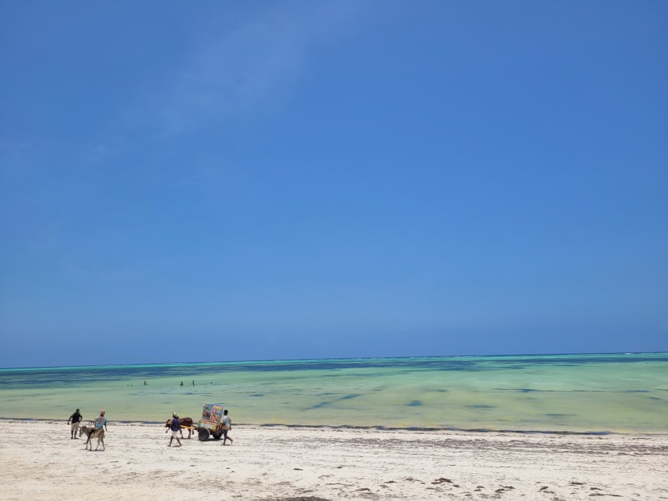 Strand TUI Blue Bahari Zanzibar