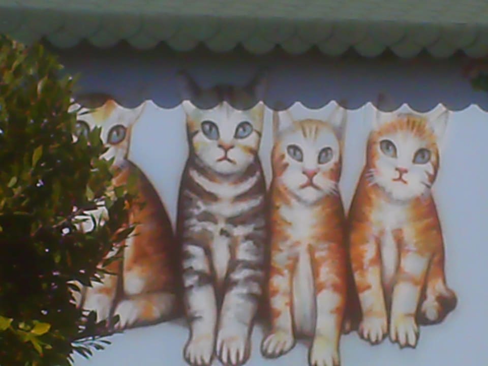 Katzenhaus Hotel Miracle Resort