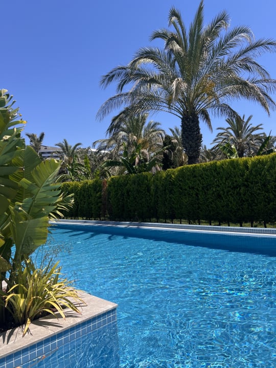 Zimmer Royal Wings Hotel