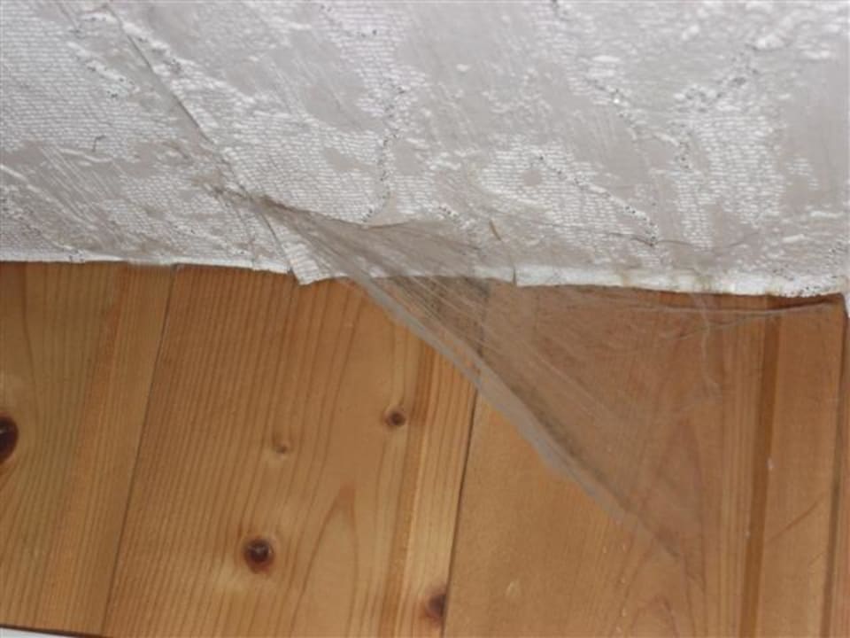Spinnwebe im Wohnzimmer Hotel Haus Schnorbus