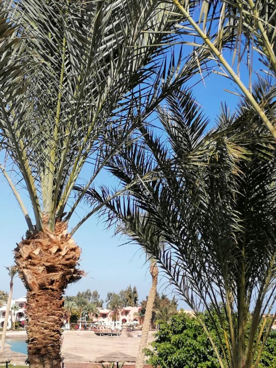 Ausblick Panorama Bungalows Resort El Gouna