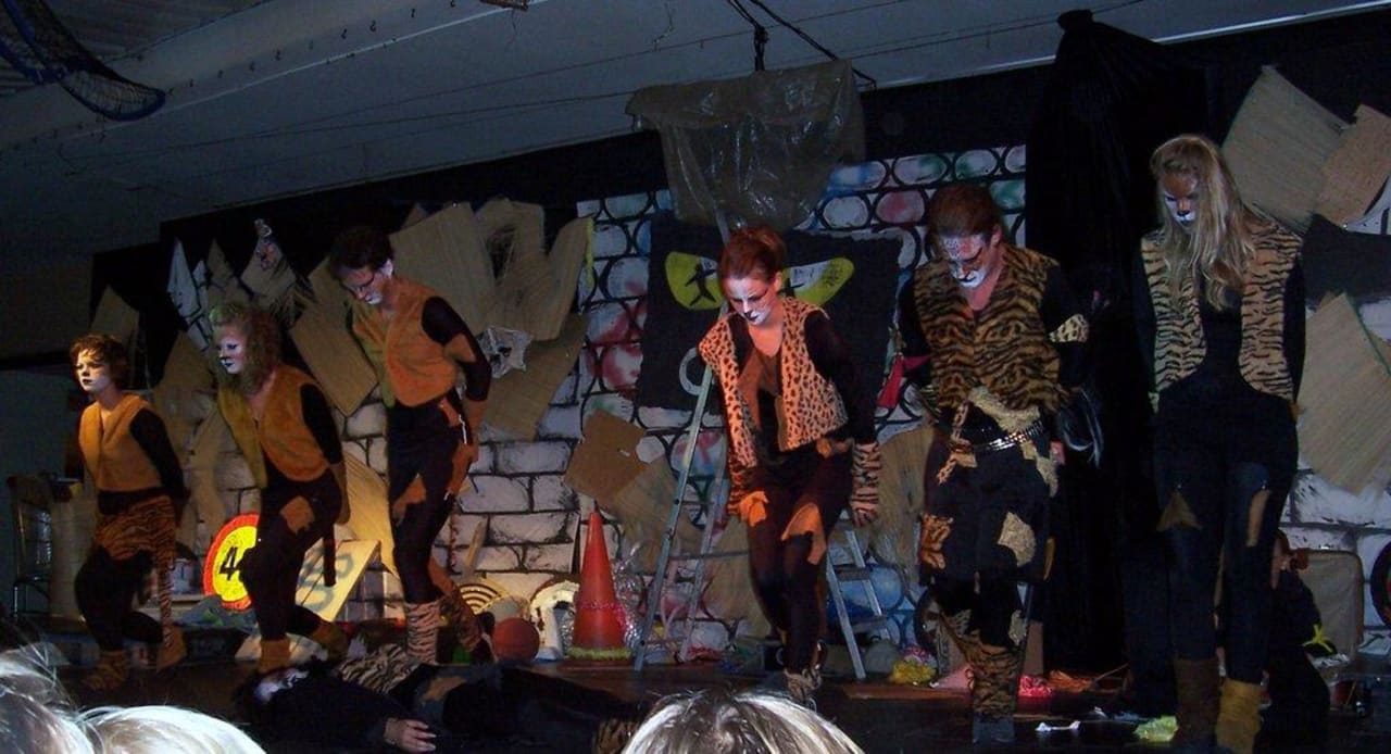 Abend Show allsun App.-Hotel Orient Beach