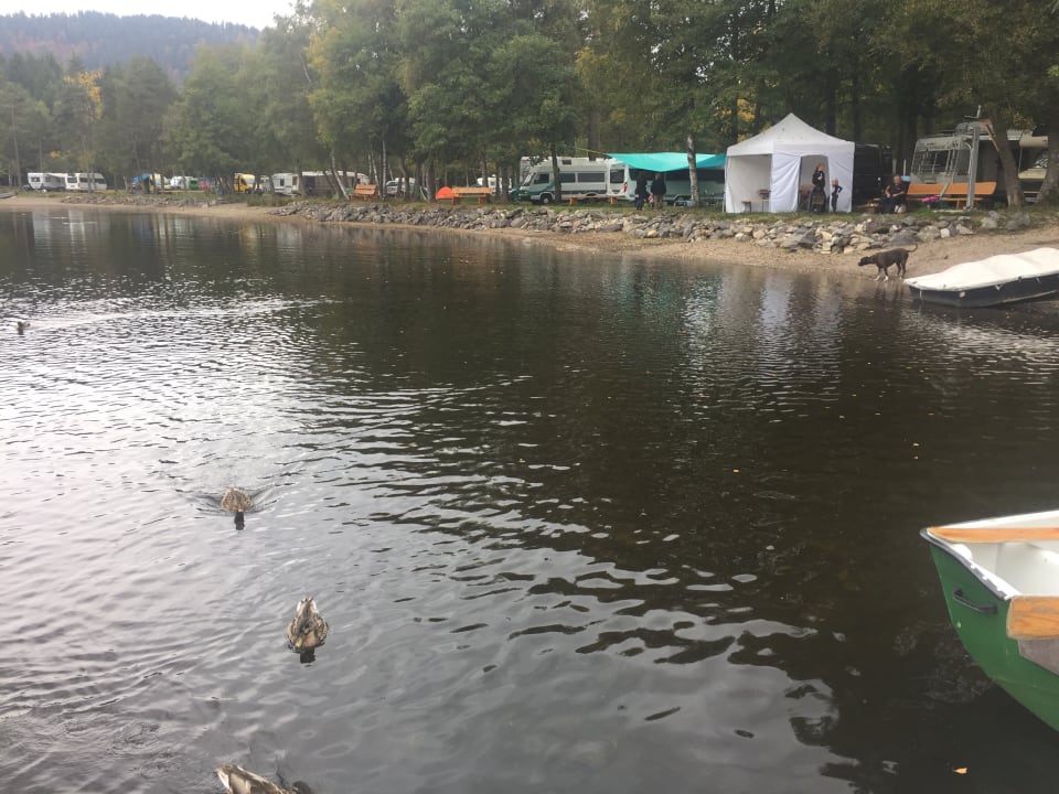 Strände Naturcamping Weiherhof